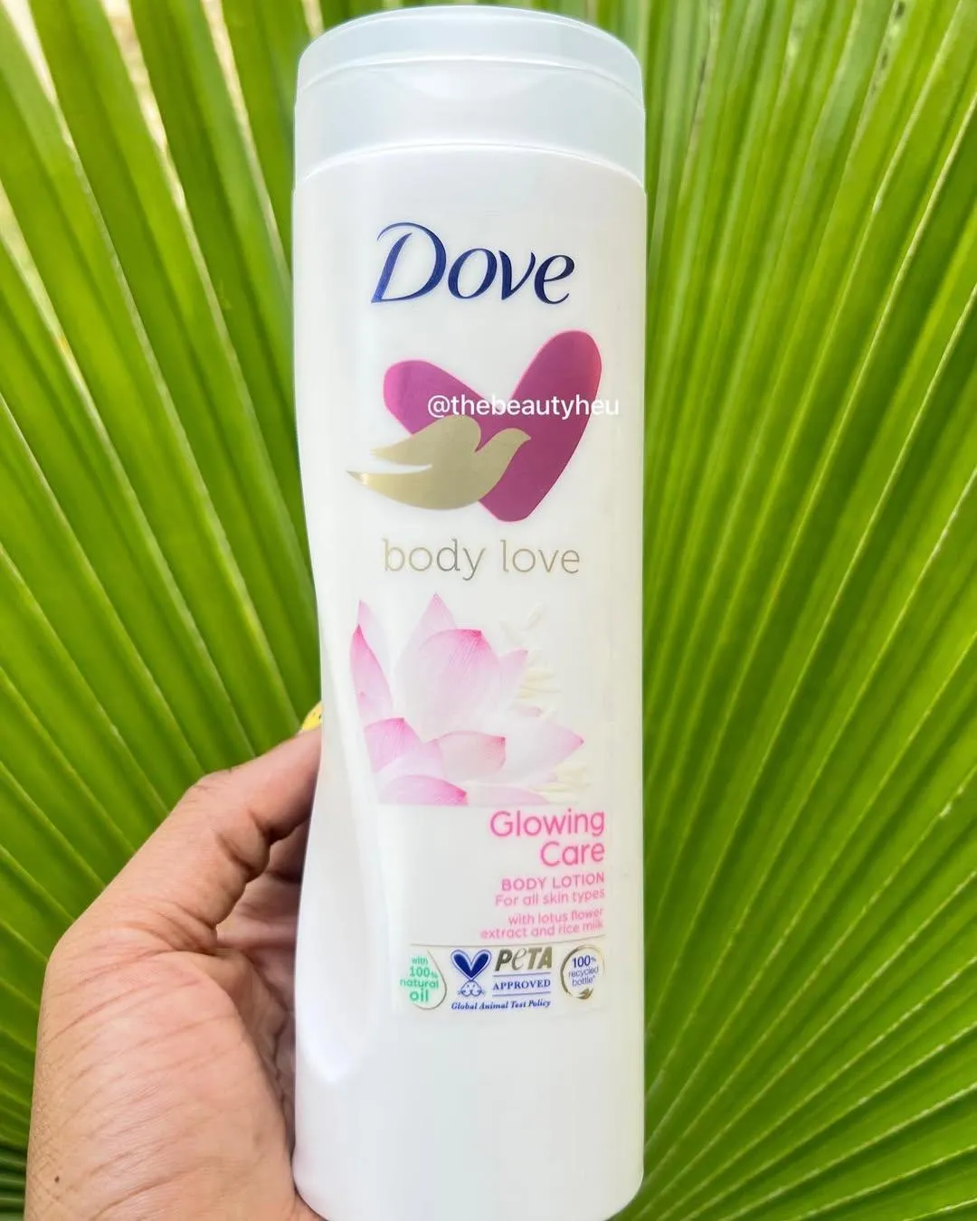 Unisex Dove Body wash